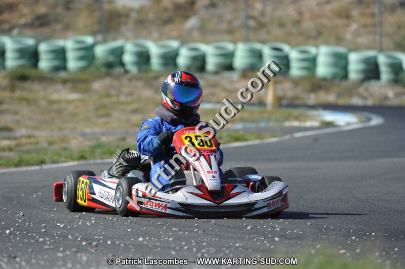 DSC (1251).JPG